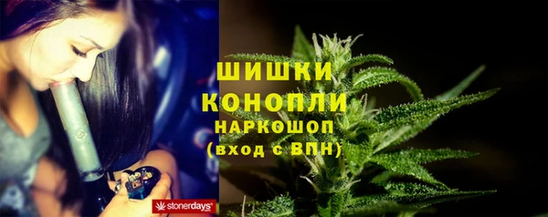 индика Горно-Алтайск