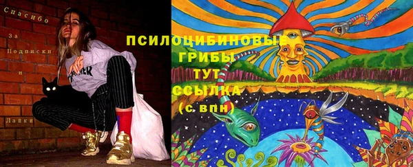 бошки Вяземский