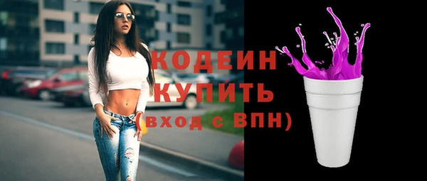 индика Горно-Алтайск
