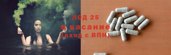 индика Горно-Алтайск