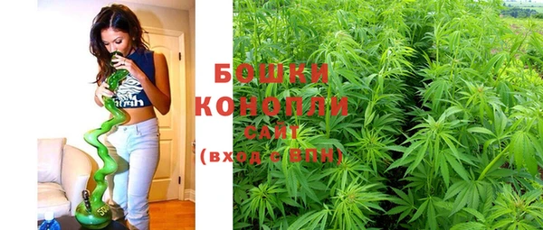 spice Горняк
