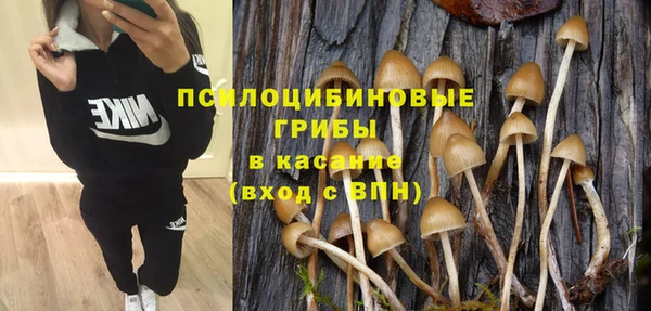бошки Вяземский