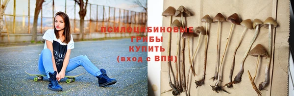 герыч Горнозаводск