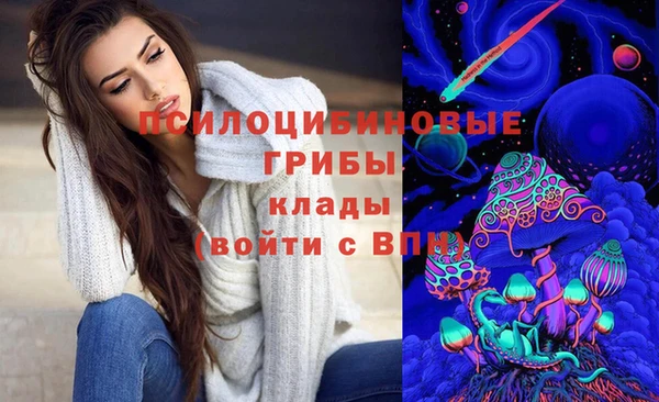 бошки Вяземский