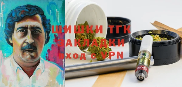 spice Горняк