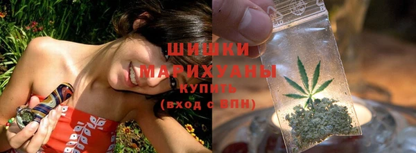 spice Горняк