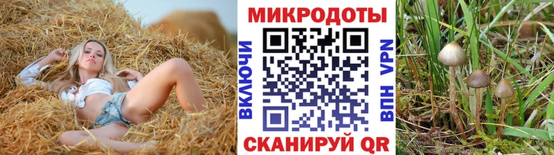 Купить закладки  Николаевск  Галлюциногенные грибы Cubensis 